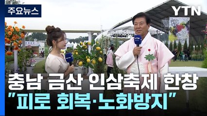 '심 봤다!' 몸도 마음도 건강한 금산 인삼축제 / YTN