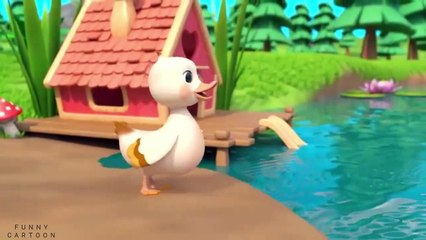 Duck baby - Baby cartoon - cartoon video - Duck cartoon - hindi cartoon -