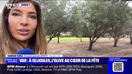 Dans le Var, la commune d'Ollioules organise la 33ème édition de la Fête de l'olivier