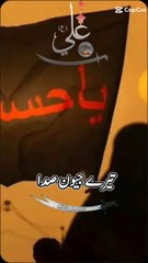 یاعلی تیرے جیون سدا حسنین مولا حسن تےمولا حسین ♥️♥️♥️♥️♥️♥️♥️ please subscribe like sher farandz