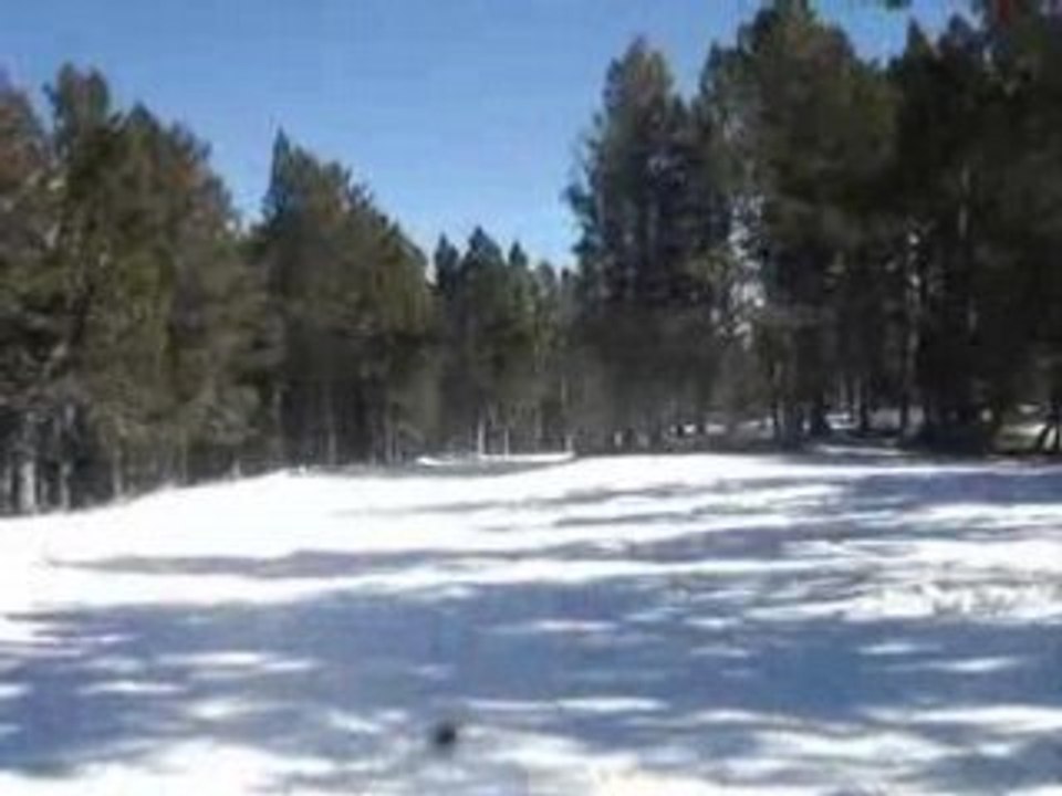 SKI