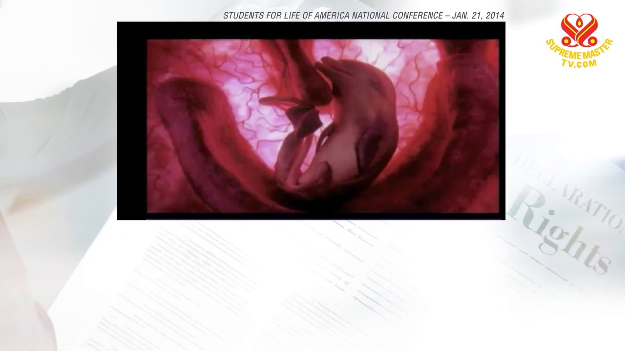 Abortion is against human rights