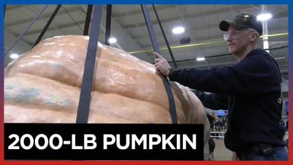 Giant pumpkin wins first prize at US fair