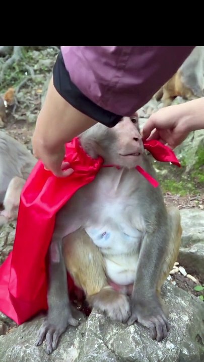 monkey child