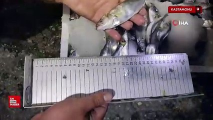 Kastamonu’da 56 kasa avlanabilir boydan küçük balık ele geçirildi