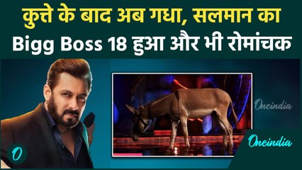 Bigg Boss 18 : सलमान खान के शो में कुत्ते के बाद अब होगी 'गधे' की एंट्री?