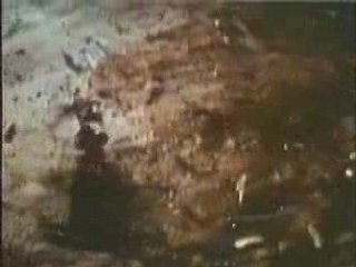 trailer compilation d'explosions 2