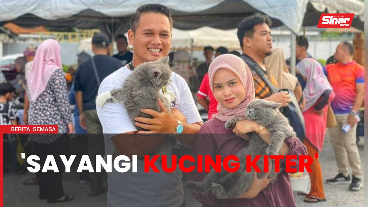 80 ekor kucing hiburkan pengunjung Payang Walk