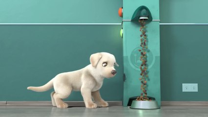 Pip _ A Short Animated Film by Dogs Inc