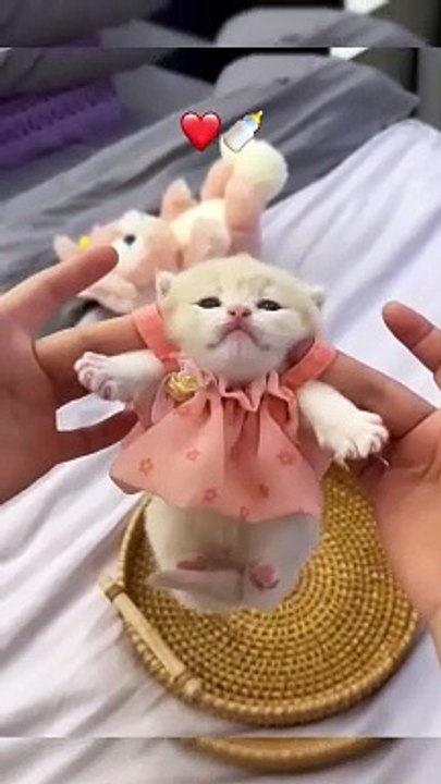 Baby funny video