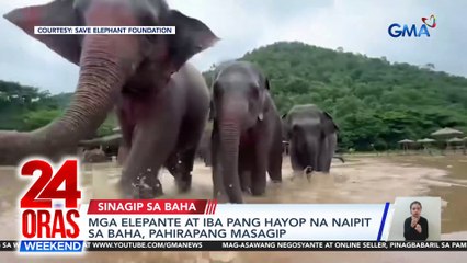 24 Oras Weekend Part 2 - Elephants in the floods; Plano ni Ex-Pres. Duterte sa 2025; Problema sa amag; atbp.