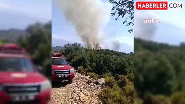 Muğla'da Zirai Alan Yangını Ormana Sıçradı
