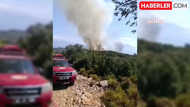 Muğla'da Zirai Alan Yangını Ormana Sıçradı