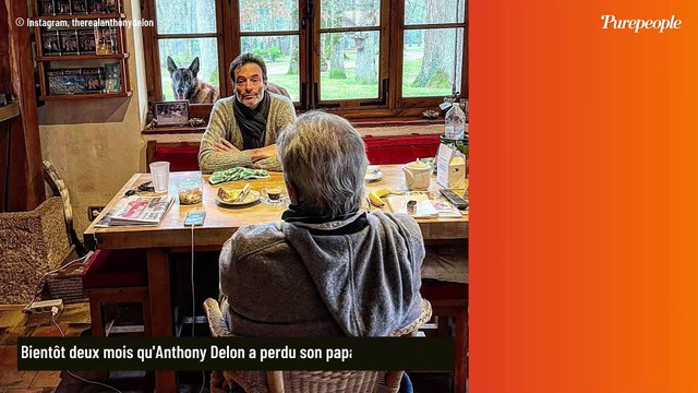 Le vaste domaine de Douchy d'Alain Delon sous surveillance 24h/24 et menacé ? Son fils Anthony Delon dévoile le dispositif