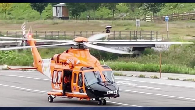 맹독성 식물 뿌리 먹은 50대 등산객...헬기 구조 / YTN