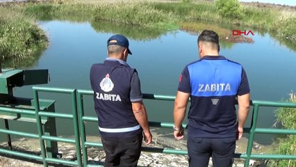 Balık ölümlerinin yaşandığı Karasu Çayı'nda inceleme