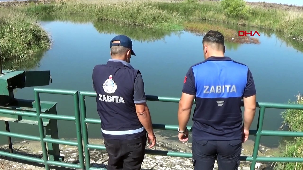 Balık ölümlerinin yaşandığı Karasu Çayı'nda inceleme