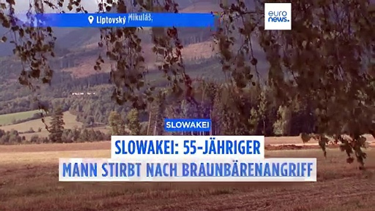 Pilzsammler von Bär getötet