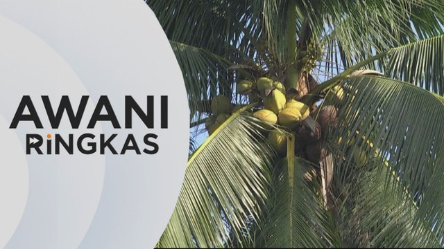 AWANI Ringkas: Kelapa diletak di bawah Lembaga Koko Malaysia