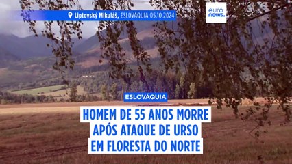 Homem de 55 anos morre após ataque de urso pardo na Eslováquia
