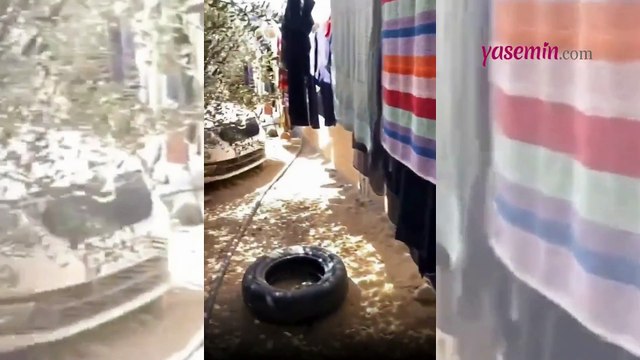 Gazze'de Kur'an eğitimi yarışması! Zorluklara rağmen umut dolu anlar gündem oldu