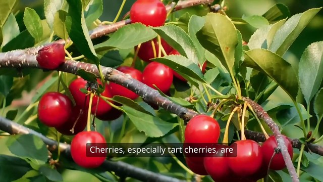 Top Health Benefits of Cherries | Superfruit for Sleep, Heart Health & Immunity Boost! Cherry Fruit