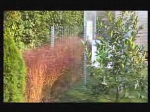 Paysagiste, aménagement extérieur : créer un jardin contemporain, aménager un jardin urbain, jardin en kit, paysagiste designer.