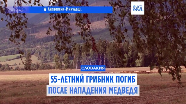 55-летний грибник погиб после нападения медведя