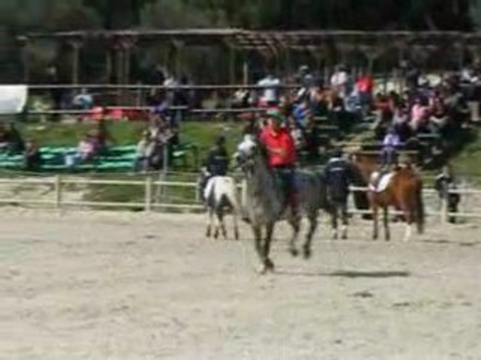 2 Tasses . Peter Dale . Team Pony Matériel