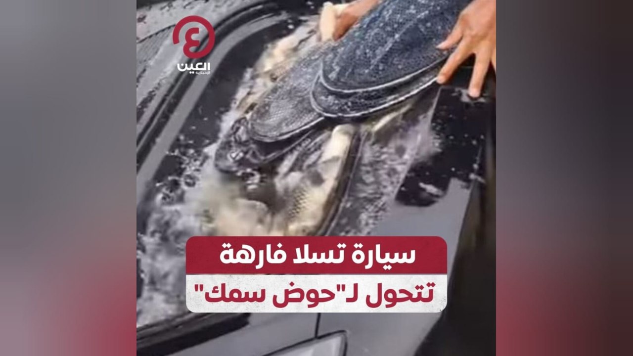سيارة تسلا فارهة تتحول لـ "حوض سمك"