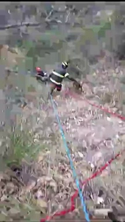 I vigili del fuoco si calano con l'aiuto di funi per salvare il cane