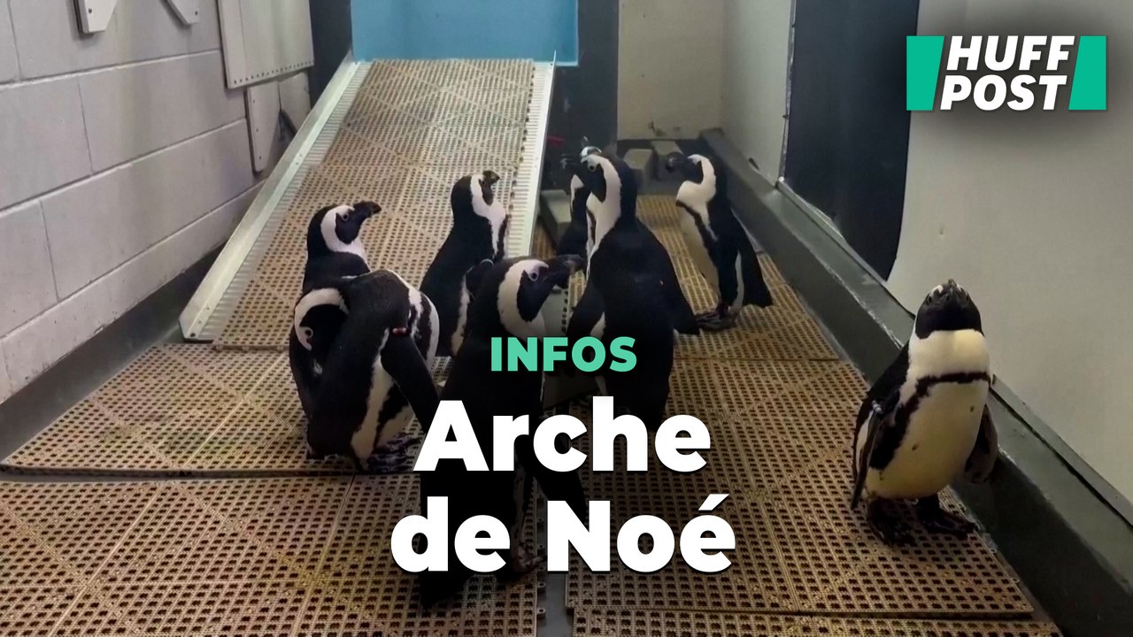 Les animaux de Floride aussi évacués avant l’arrivée de l’ouragan Milton