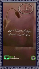 SAYINGS OF HOLY PROPHET MUHAMMADﷺ - حدیث نبویﷺ - Hadis-e-Nabviﷺ (8)