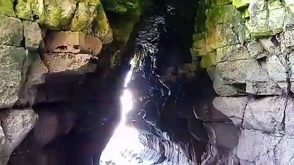 Thornwick Bay cave near Flamborough Head