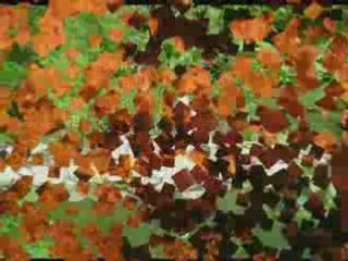 Week end a lille 2007