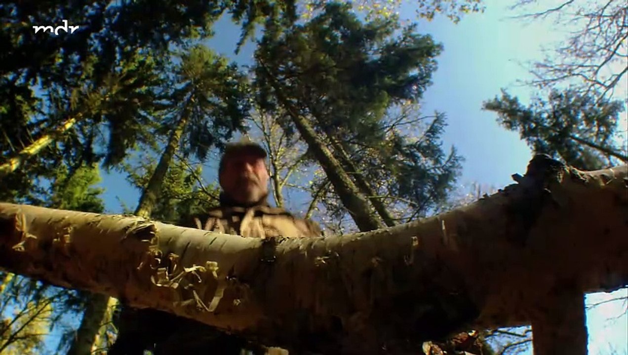 Wildes Deutschland - Grenzgänger am Grünen Band