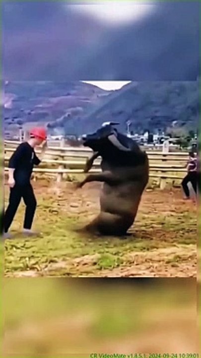 Did you laugh today? || #funny video #funny #