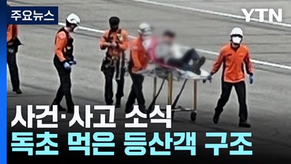 "사약 재료인데"...맹독성 약초 먹은 등산객 헬기로 구조 / YTN