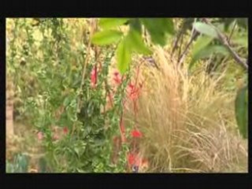 Paysagiste, aménagement extérieur : créer un jardin gourmand, aménager un jardin potager en ville.