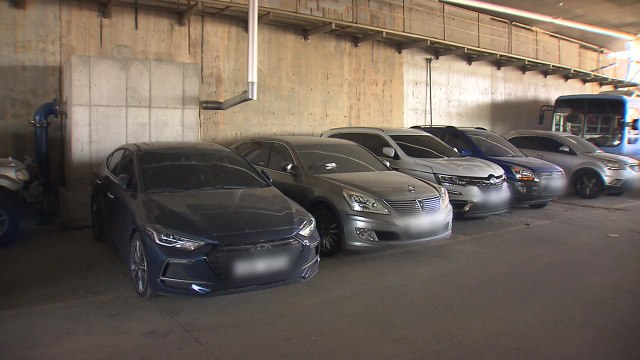 음주운전 '차량 몰수' 101건...중대 음주운전 감소 추세 / YTN