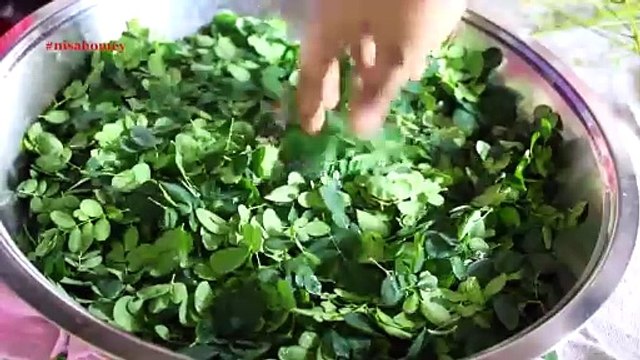 Moringa Powder - How To Make Moringa Powder At Home - Drumstick Leaves Powder - Skinny Recipes