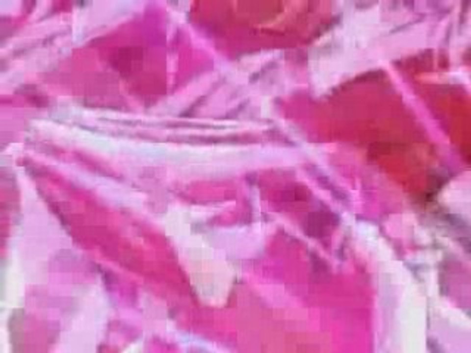 les regrets de vegeta