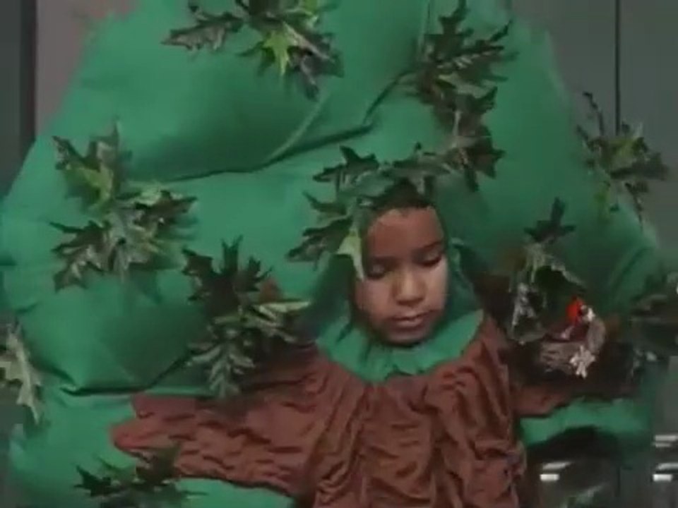 PBS Kids Barney And Friends Tree Mendous Trees 4x14...mp4