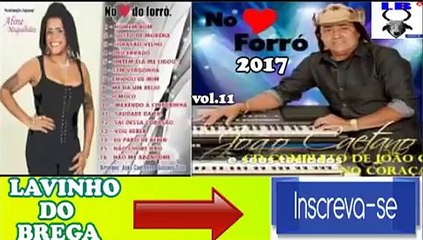 JOÃO CAETANO E SEUS TECLADOS - VOL.11  NO CORAÇÃO DO FORRÓ