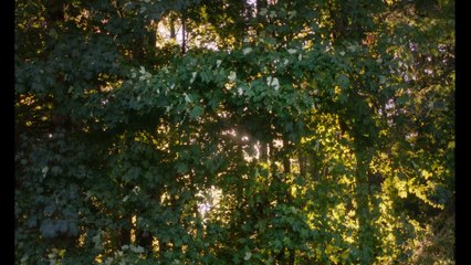 Der Spatz im Kamin (2024) – Offizieller Trailer | Ein Familienfilm voller Herz ❤️