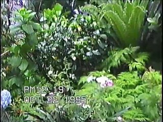 Aniversário Felipe 15 anos - Óculos