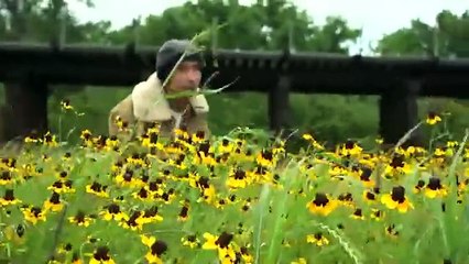 ASESINA PERFECTA Película completa en Español Latino HD