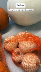 Pumpkin Decor With Transfer and Gilding Foil