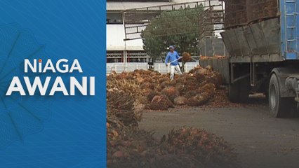 Niaga AWANI: Niaga hadapan MSM dijangka diniaga dengan kecenderungan menaik minggu ini