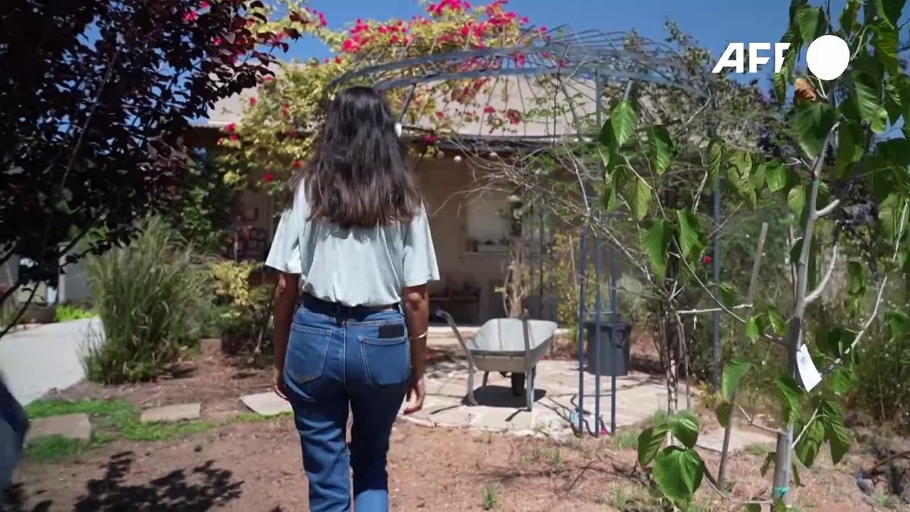 "meine familiengeschichte endete am 7. oktober"